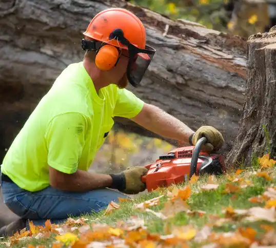 tree services Hauppauge